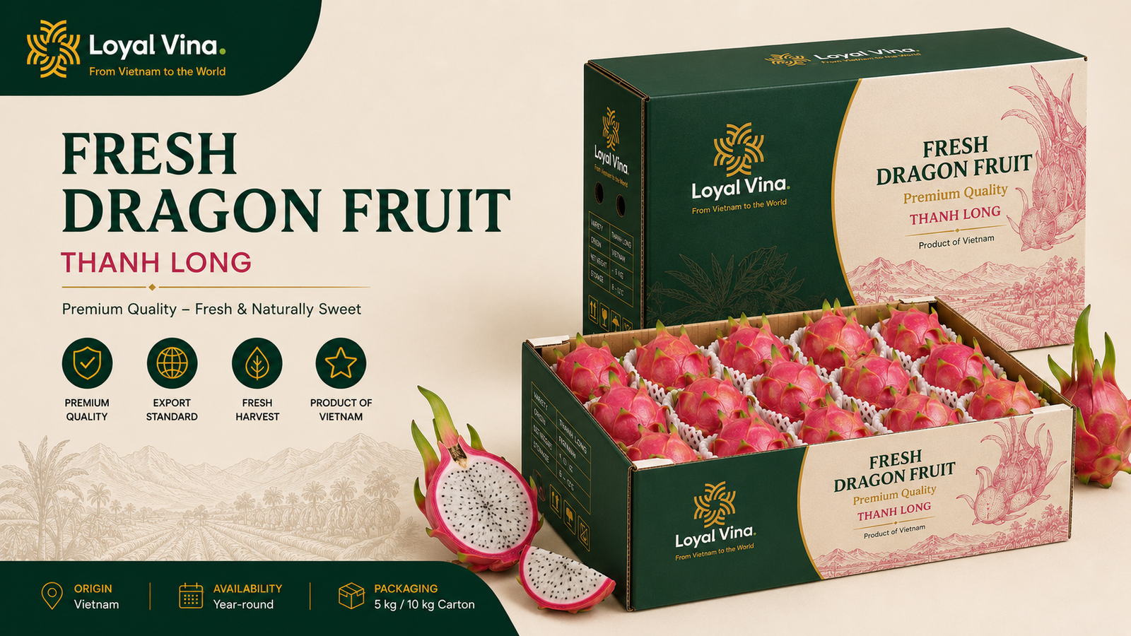 Fresh dragon fruit packaging