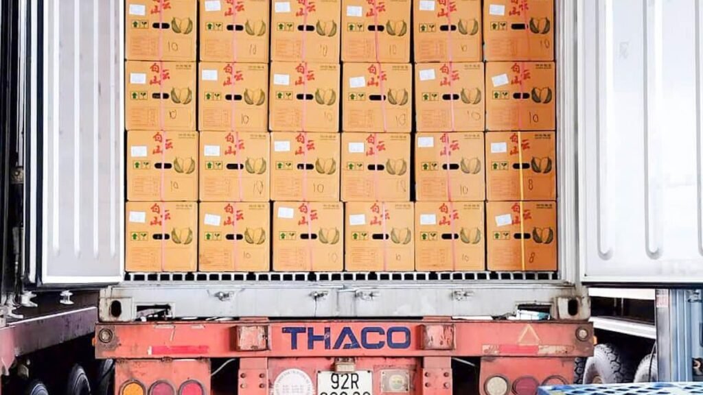 Packed durian shipments prepared for Vietnam durian exports